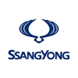 Накладки на пороги для SsangYong